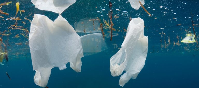 Estate, un mare di plastica: Campania sempre più maglia nera