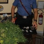 marijuana