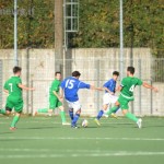 marinaccio vis ariano