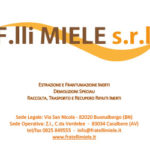 miele