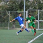 modesto ariano PICCOLA