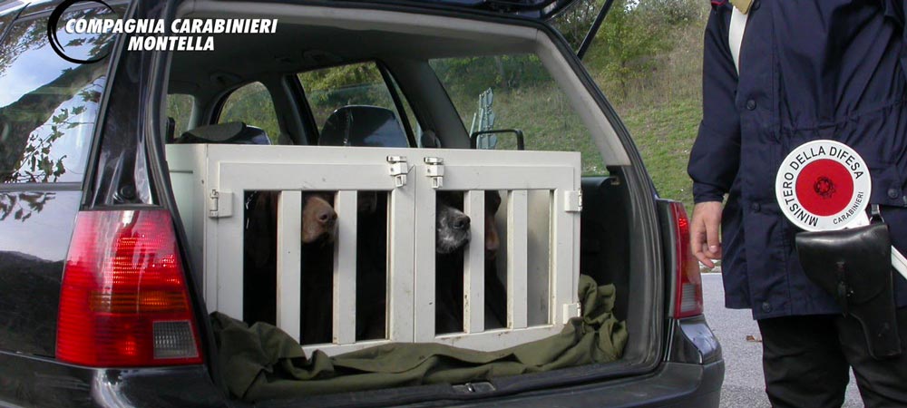 Bracconaggio e maltrattamento animali in provincia di Avellino, i carabinieri denunciano 6 persone