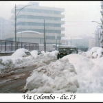neve colombo