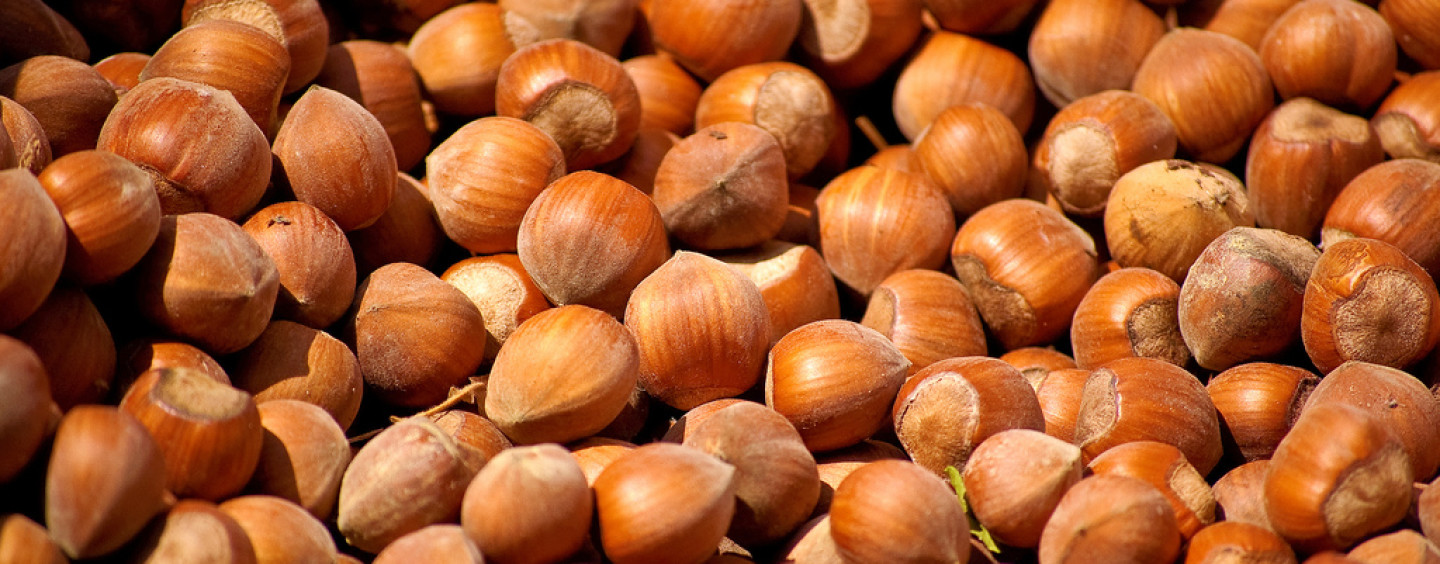 Prodotti made in Irpinia: le diverse qualità e le proprietà nutrizionali delle nocciole