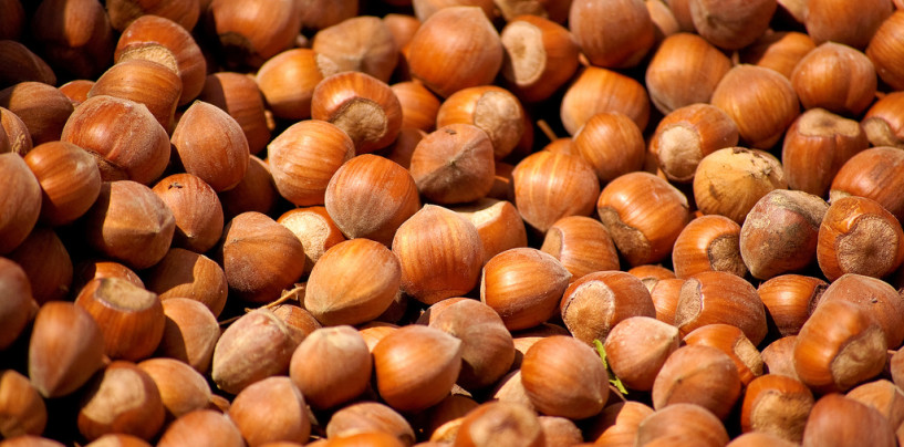 Prodotti made in Irpinia: le diverse qualità e le proprietà nutrizionali delle nocciole