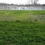 partenio-campo-b-avellino