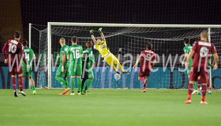 Avellino Calcio – Trapani al lavoro: le condizioni di Petkovic e Scozzarella