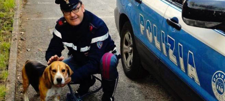 Polizia, missione compiuta: il beagle Rudy torna a casa