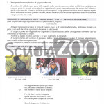 prima-prova-italiano-2_r