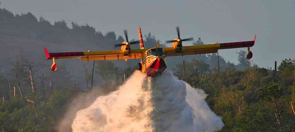 rogo-canadair