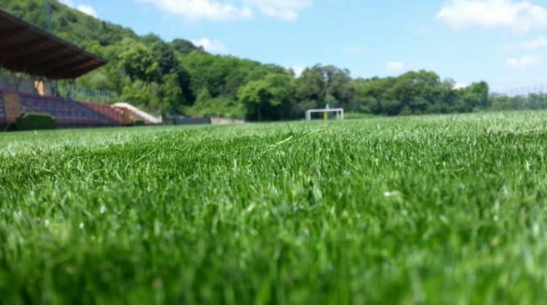 Avellino Calcio – Il derby vale la salvezza: lupi in ritiro
