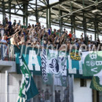 tifosi-avellino-vultur-rionero