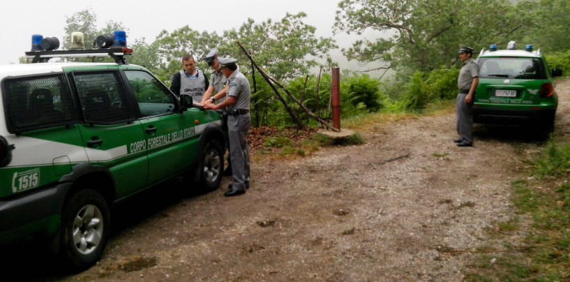 Strada abusiva tra i boschi di un’area protetta, scatta la denuncia per un imprenditore