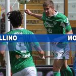 avellino modena grafica